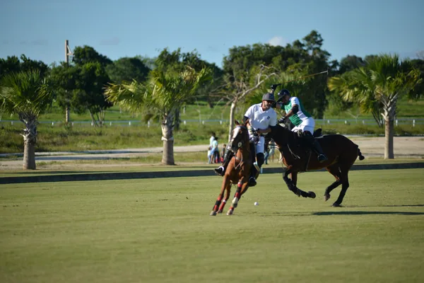 Partido de polo en Cap Cana